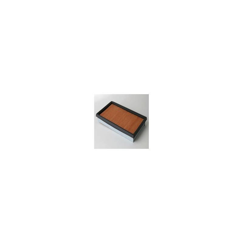 Donaldson P500063 Air Filter
