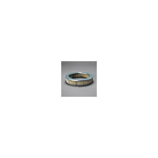 Donaldson P607290 Air Filter