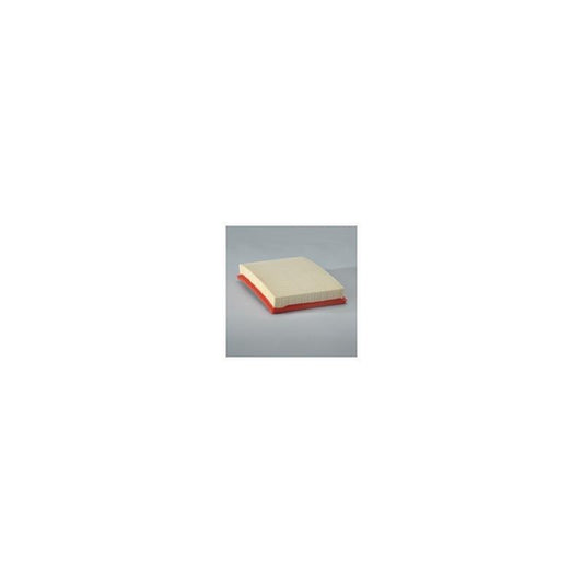 Donaldson P607348 Air Filter