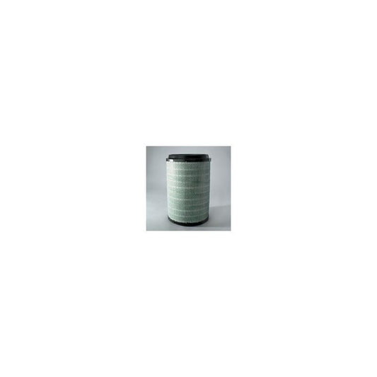 Donaldson P785520 Air Filter