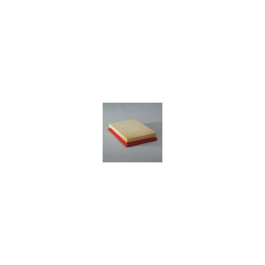 Donaldson P606282 Air Filter