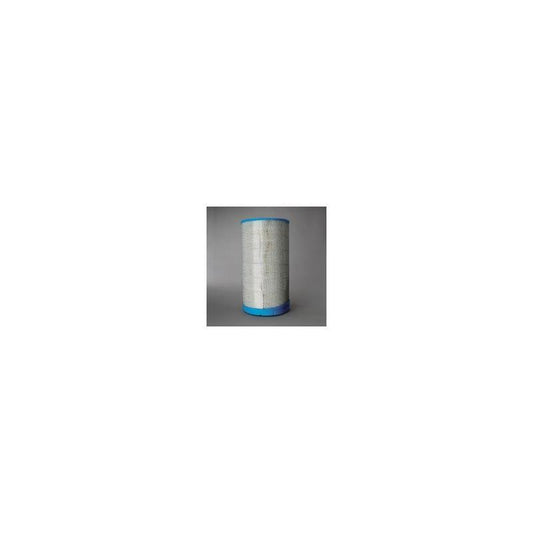 Donaldson P613333 Air Filter