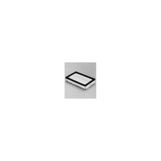 Donaldson P607277 Air Filter