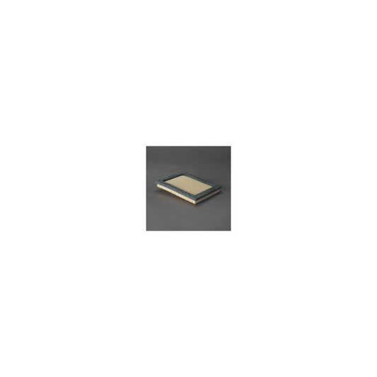 Donaldson P614543 Air Filter