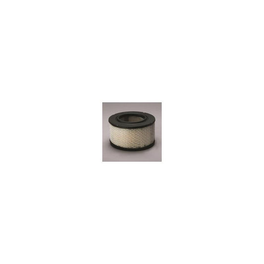 Donaldson P606958 Air Filter