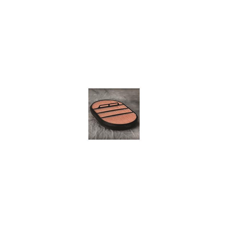 Donaldson P607557 Air Filter