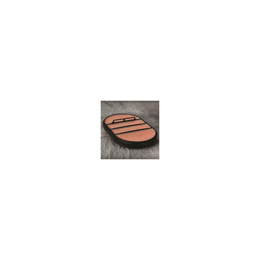 Donaldson P607557 Air Filter
