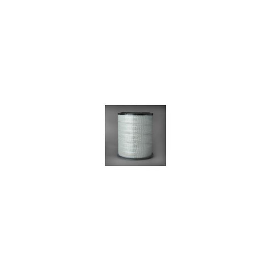 Donaldson P782396 Air Filter
