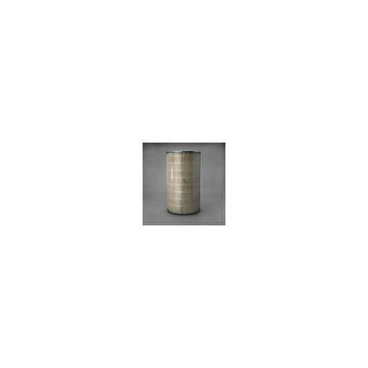 Donaldson P607367 Air Filter