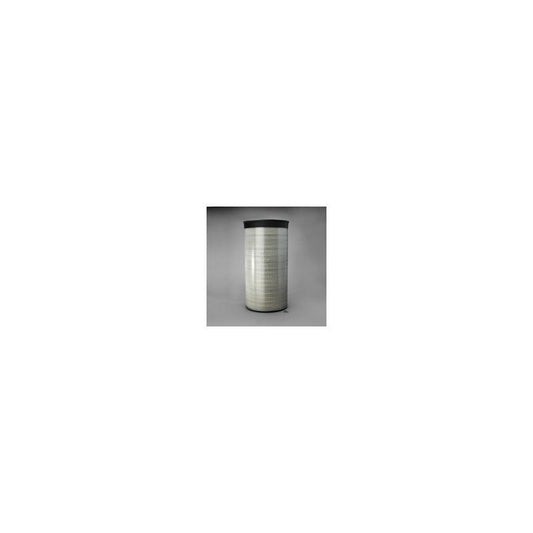 Donaldson P607369 Air Filter
