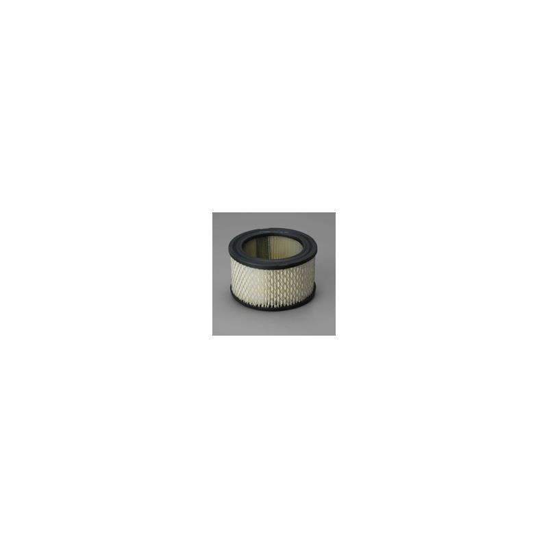 Donaldson P607234 Air Filter