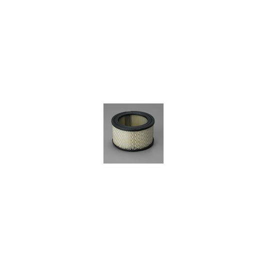 Donaldson P607234 Air Filter