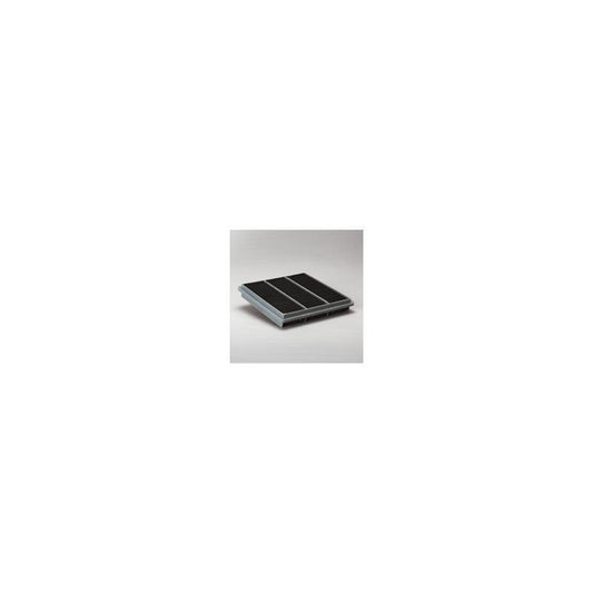 Donaldson P607306 Air Filter