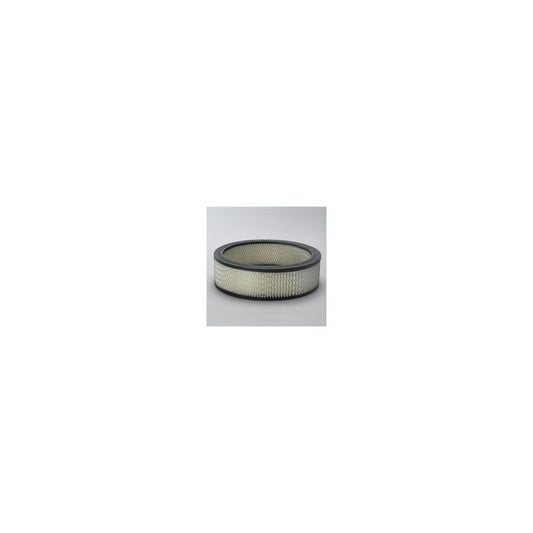 Donaldson P524355 Air Filter