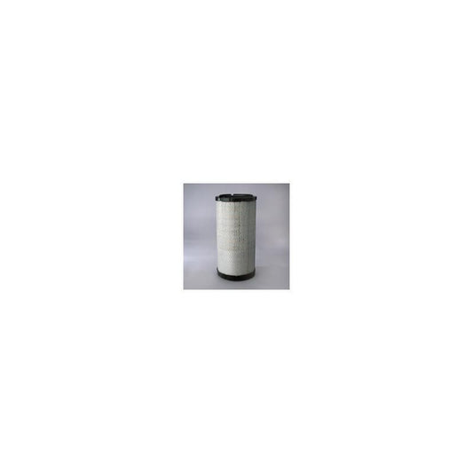 Donaldson P783870 Air Filter