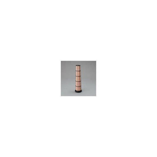Donaldson P602427 Air Filter