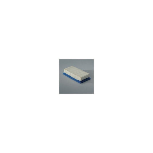 Donaldson P606956 Air Filter