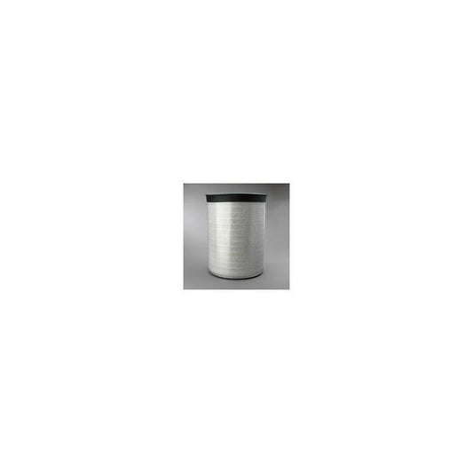 Donaldson P182038 Air Filter