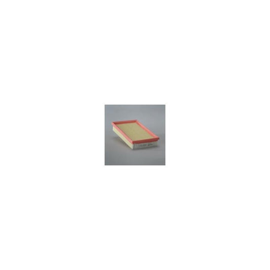 Donaldson P622148 Air Filter