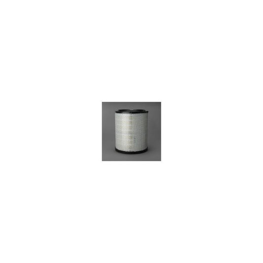 Donaldson P532501 Air Filter