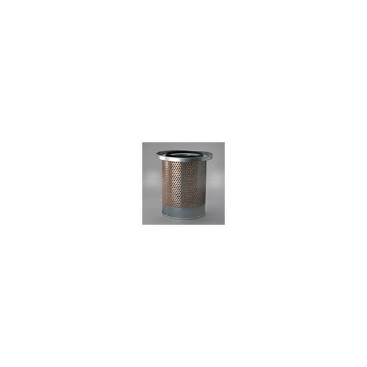 Donaldson P781373 Air Filter