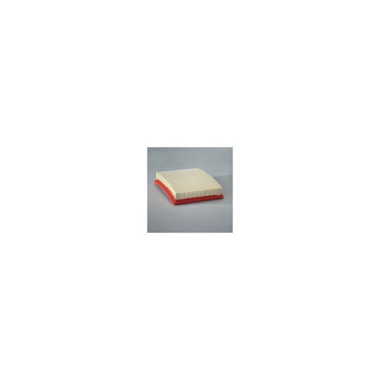 Donaldson P606281 Air Filter