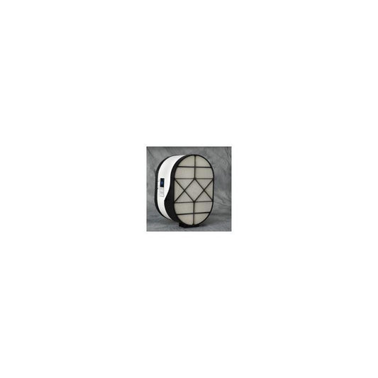 Donaldson P608667 Air Filter