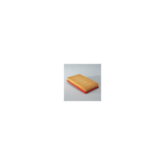 Donaldson P606957 Air Filter