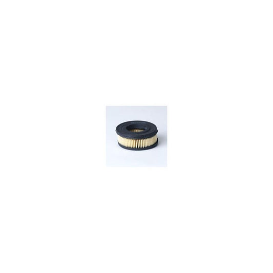 Donaldson P524388 Air Filter