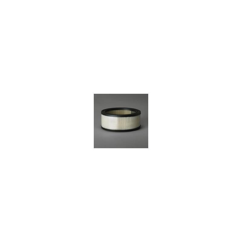 Donaldson P607255 Air Filter