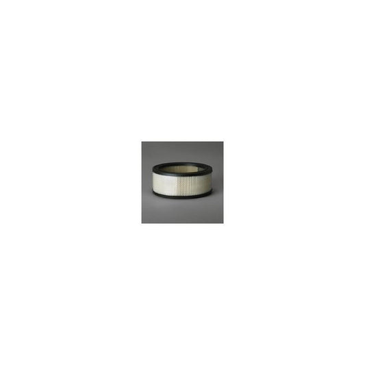 Donaldson P607255 Air Filter
