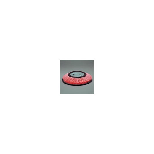 Donaldson P607301 Air Filter