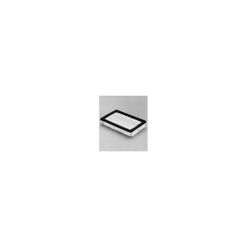Donaldson P606077 Air Filter