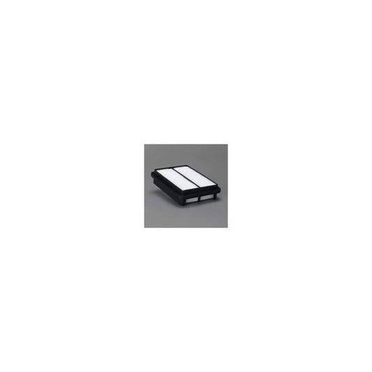 Donaldson P606272 Air Filter