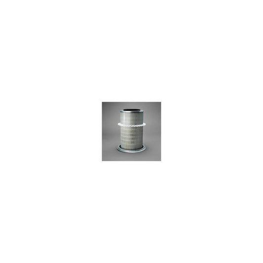 Donaldson P771531 Air Filter