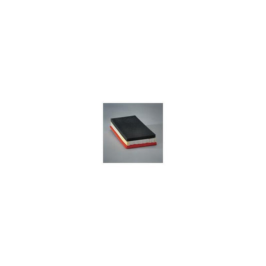 Donaldson P607097 Air Filter