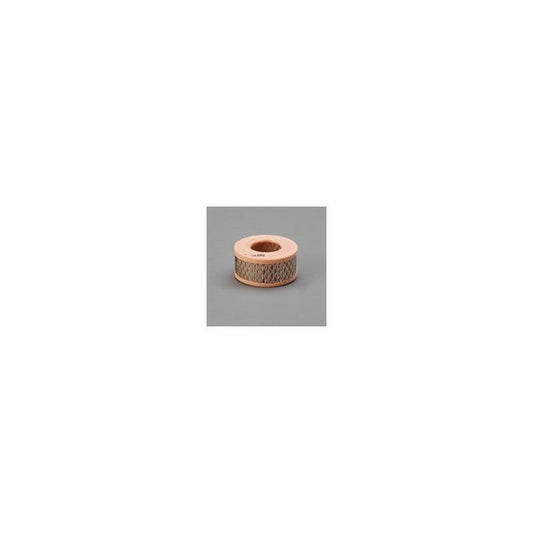 Donaldson P607232 Air Filter