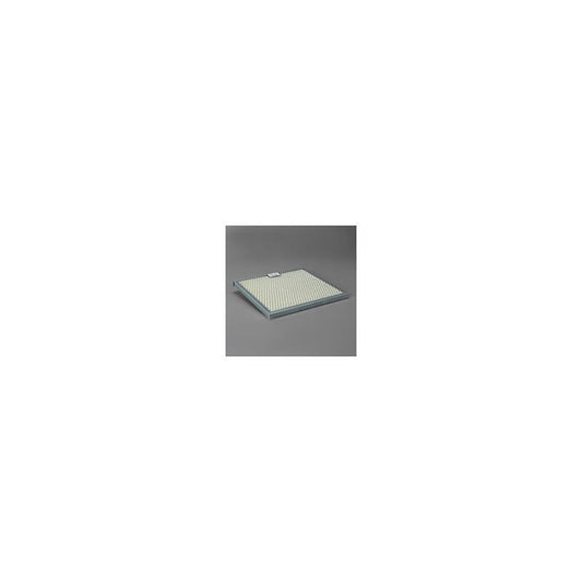 Donaldson P606089 Air Filter