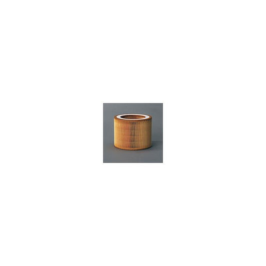 Donaldson P784578 Air Filter