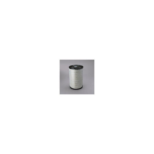 Donaldson P780522 Air Filter