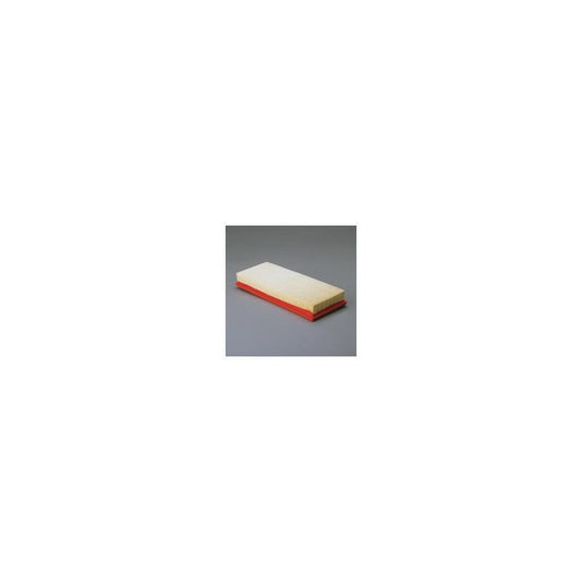 Donaldson P607243 Air Filter