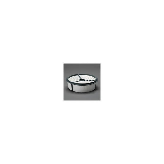 Donaldson P607250 Air Filter