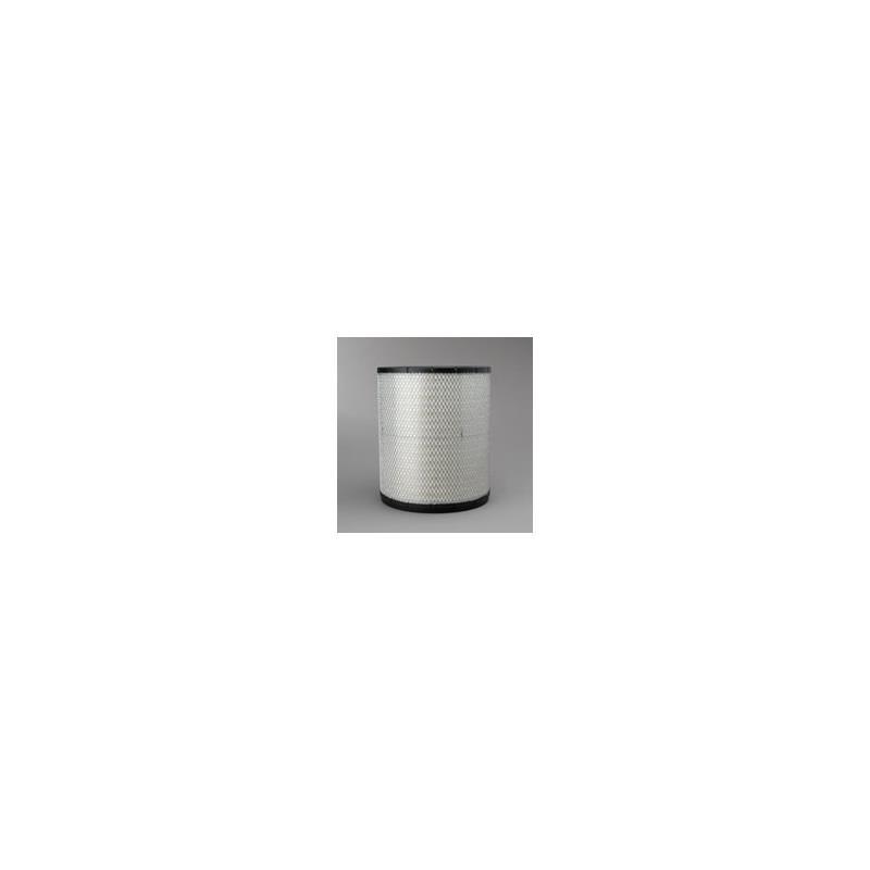 Donaldson P181118 Air Filter