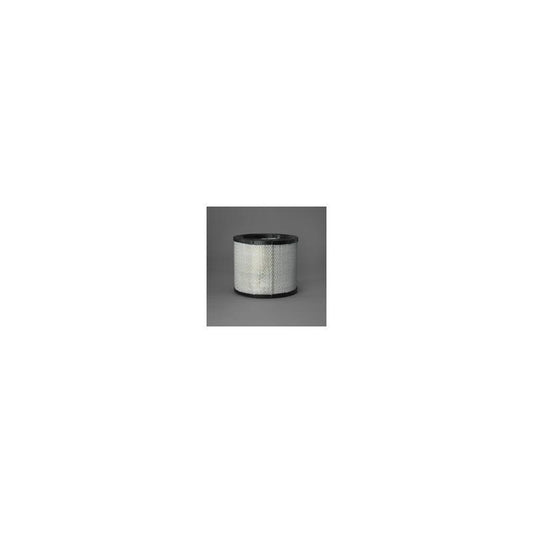 Donaldson P546755 Air Filter