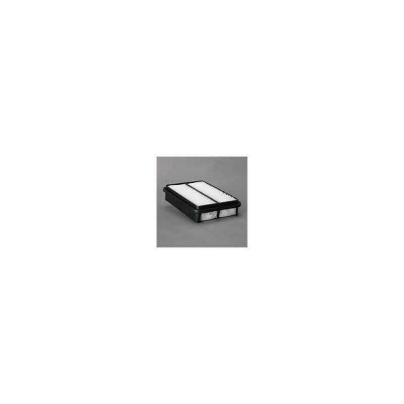 Donaldson P606060 Air Filter