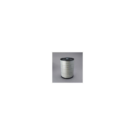 Donaldson P533930 Air Filter