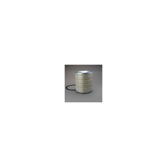 Donaldson P181095 Air Filter