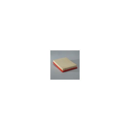 Donaldson P607323 Air Filter