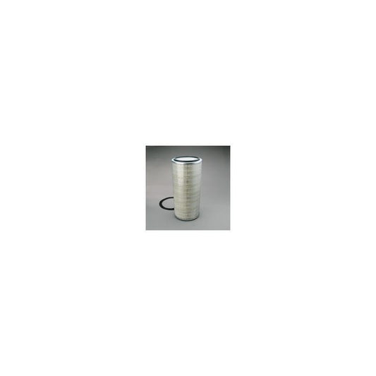 Donaldson P607371 Air Filter