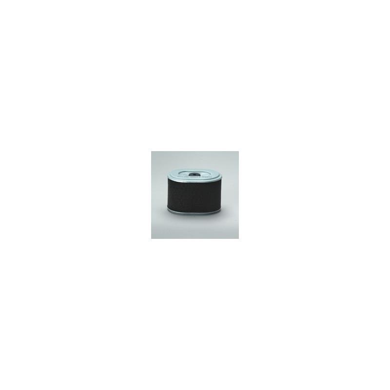 Donaldson P786889 Air Filter
